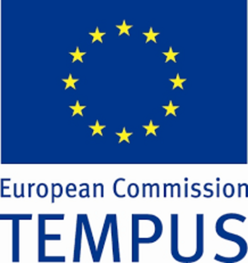 Logo EU Projekt Tempus
